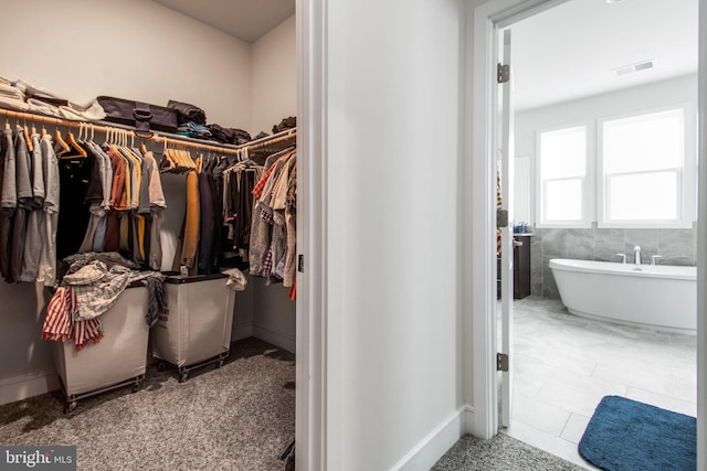 spacious closet with carpet