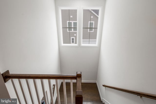 staircase with wood-type flooring