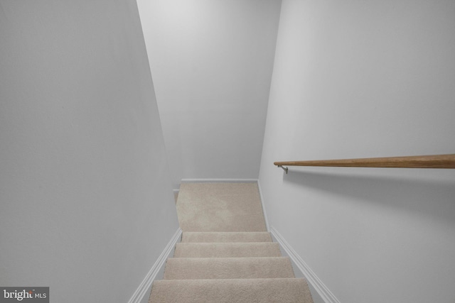 staircase with carpet flooring