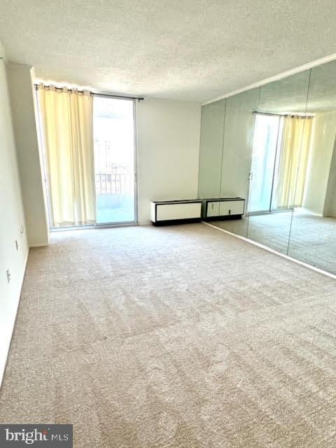 carpeted empty room featuring a textured ceiling and expansive windows