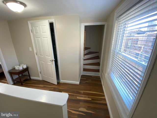 interior space with dark hardwood / wood-style floors