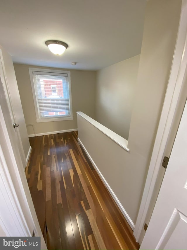 corridor featuring dark hardwood / wood-style flooring