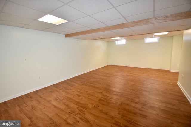 basement featuring hardwood / wood-style flooring and a drop ceiling