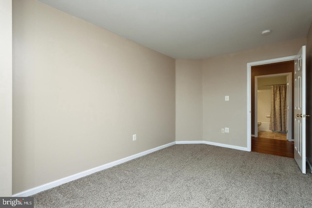 spare room featuring carpet flooring