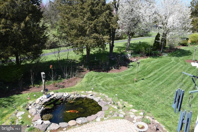 view of yard featuring a garden pond