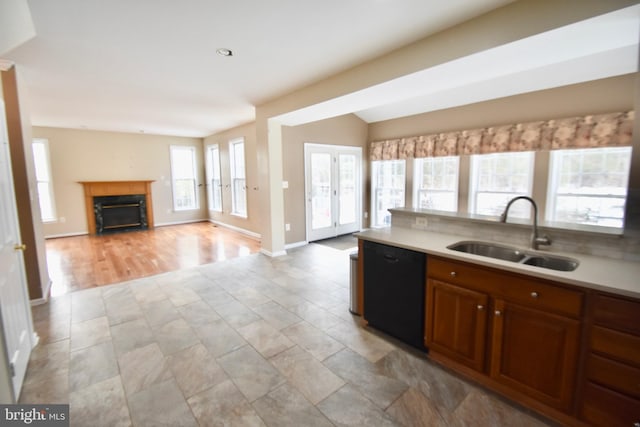 kitchen with sink and dishwasher