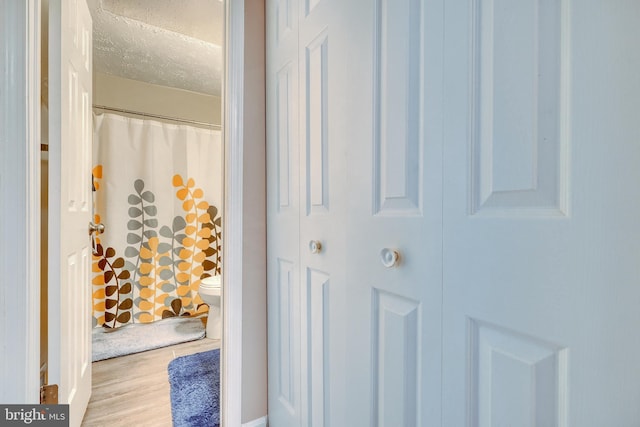 bathroom with hardwood / wood-style floors and a textured ceiling