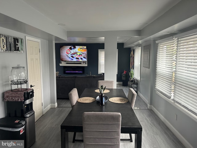 dining area featuring wood-type flooring