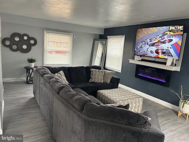 living room with a healthy amount of sunlight and hardwood / wood-style floors