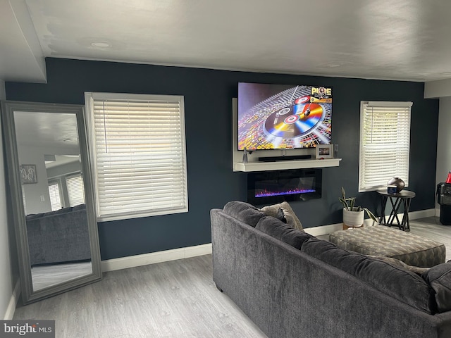 living room featuring hardwood / wood-style floors