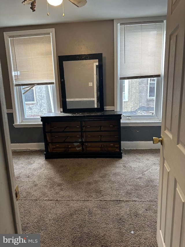 bedroom featuring multiple windows and carpet