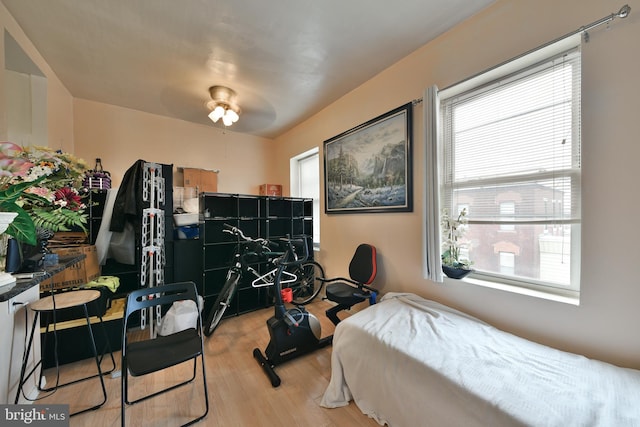 bedroom featuring ceiling fan, light hardwood / wood-style flooring, and multiple windows