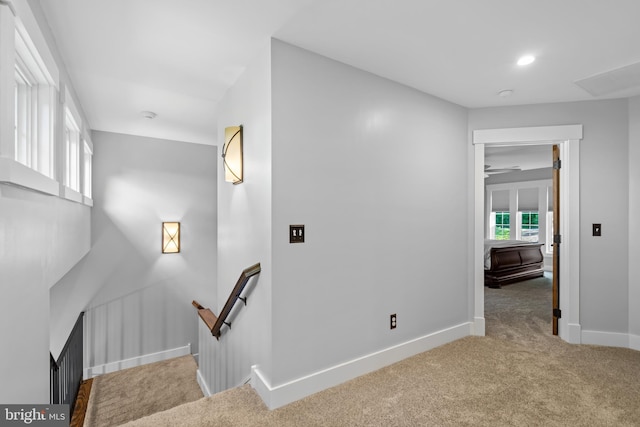 staircase featuring carpet