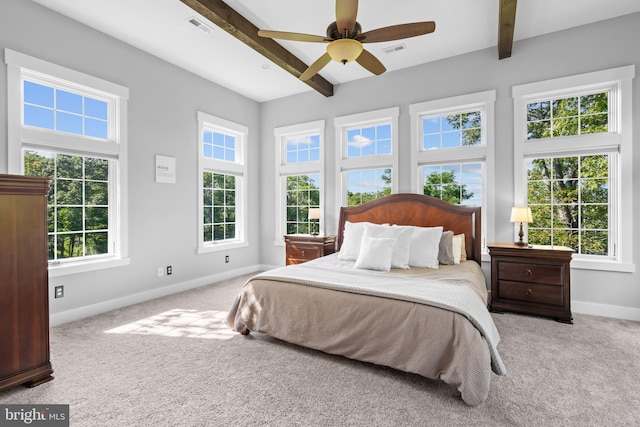 carpeted bedroom with ceiling fan, multiple windows, and beam ceiling