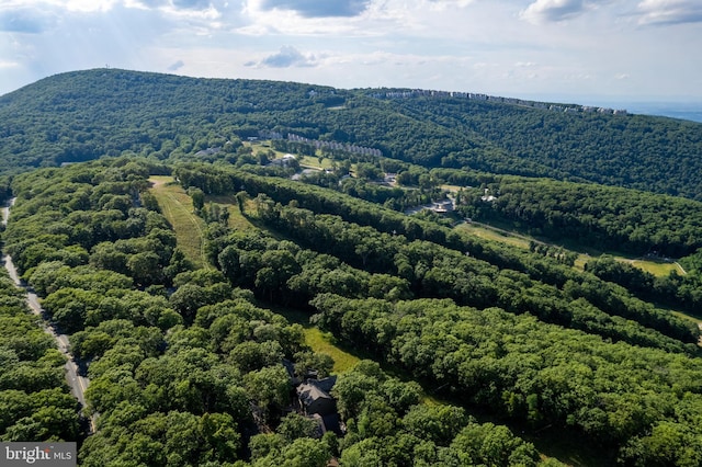 drone / aerial view featuring a mountain view