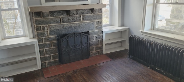 room details with a stone fireplace, radiator heating unit, and hardwood / wood-style flooring