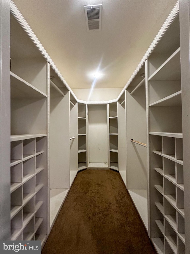 walk in closet with dark carpet