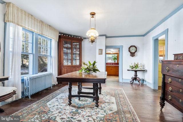 office area with crown molding, dark hardwood / wood-style floors, and radiator heating unit