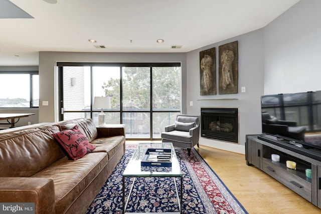 living room featuring light wood-type flooring