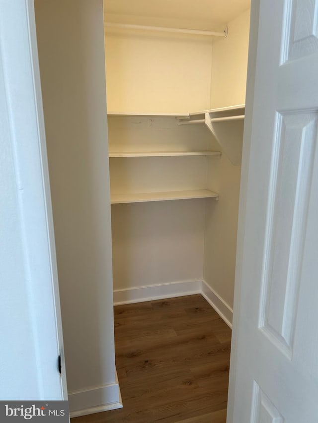 spacious closet with dark wood-type flooring