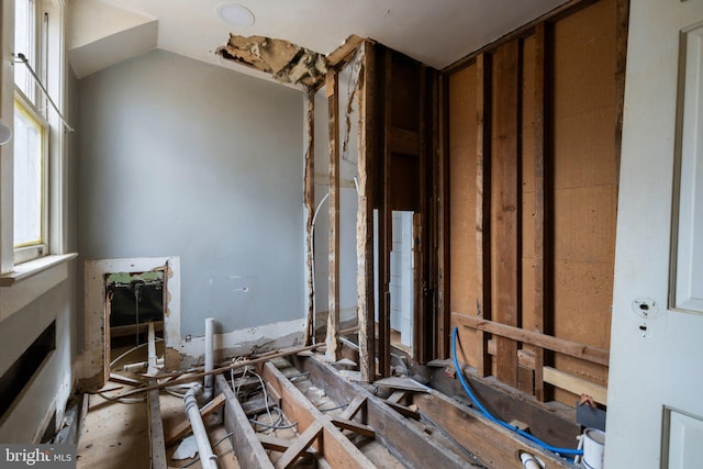 miscellaneous room featuring vaulted ceiling