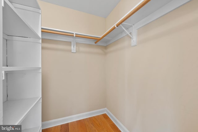 spacious closet with hardwood / wood-style flooring