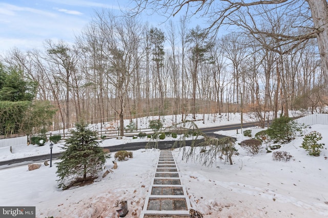 view of yard layered in snow