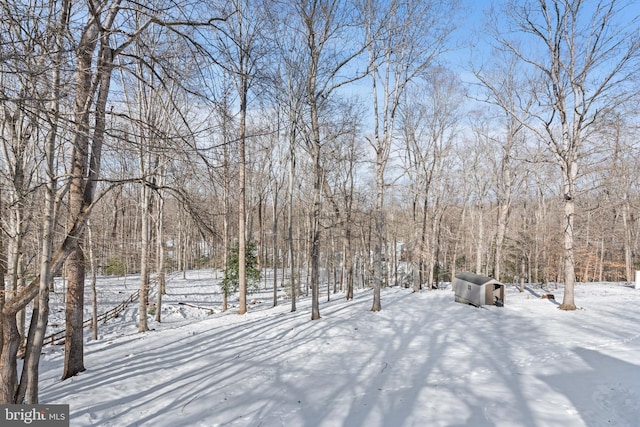 view of snowy yard