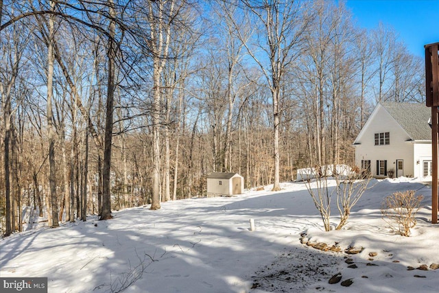 yard covered in snow with a shed