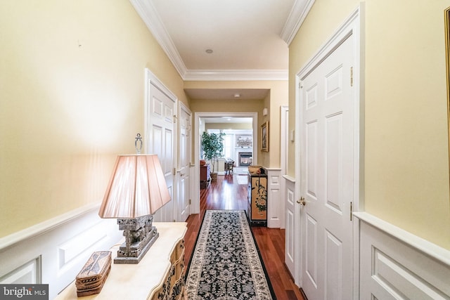 corridor featuring crown molding and dark hardwood / wood-style floors