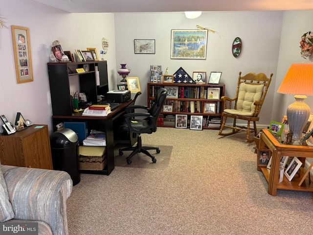 office area featuring carpet flooring