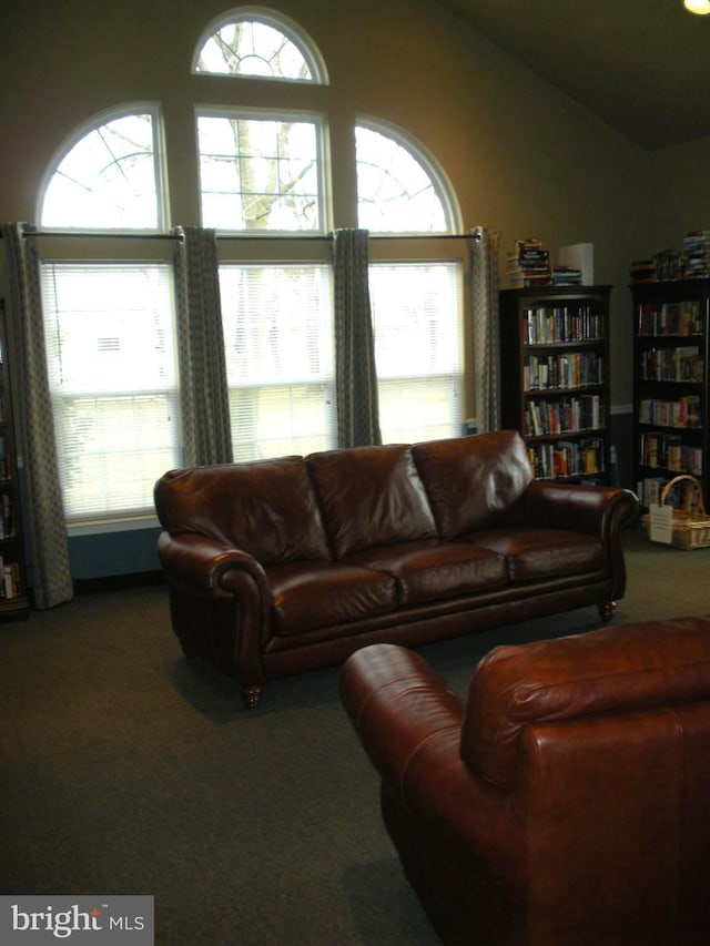 carpeted living room with vaulted ceiling