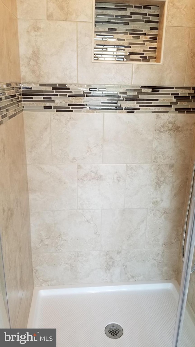 room details with tiled shower