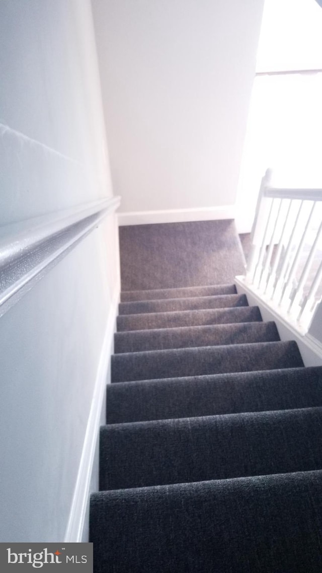 stairs with carpet flooring