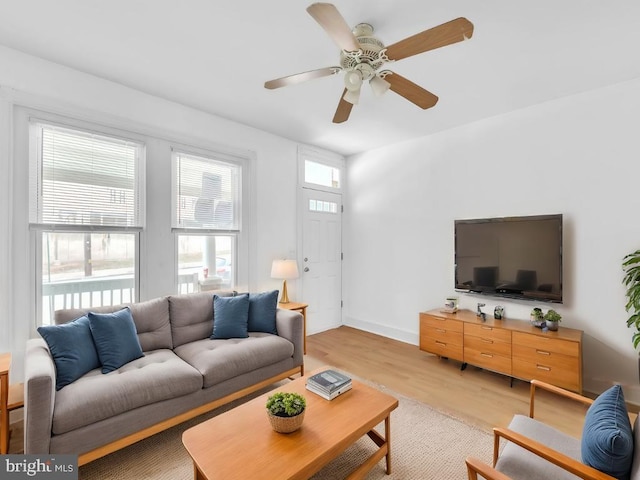 living room featuring ceiling fan and light hardwood / wood-style flooring