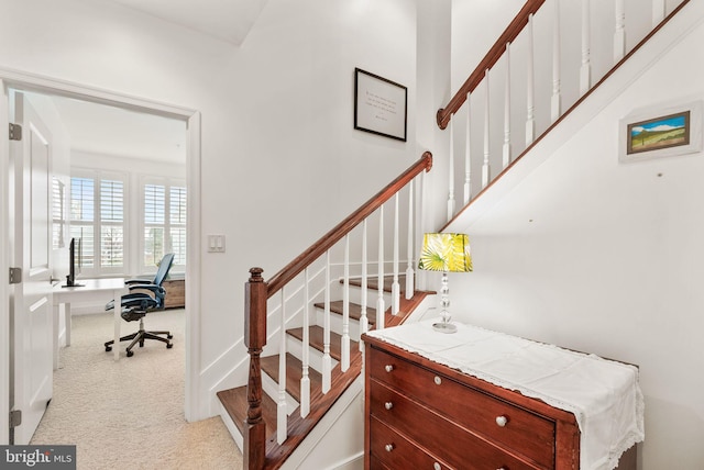 stairway with carpet flooring