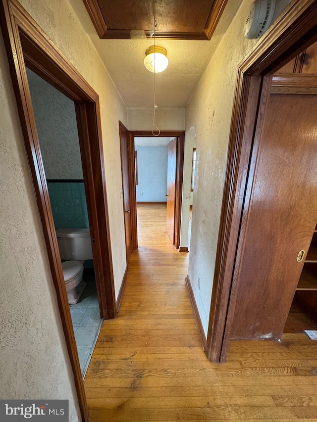 corridor featuring light hardwood / wood-style floors