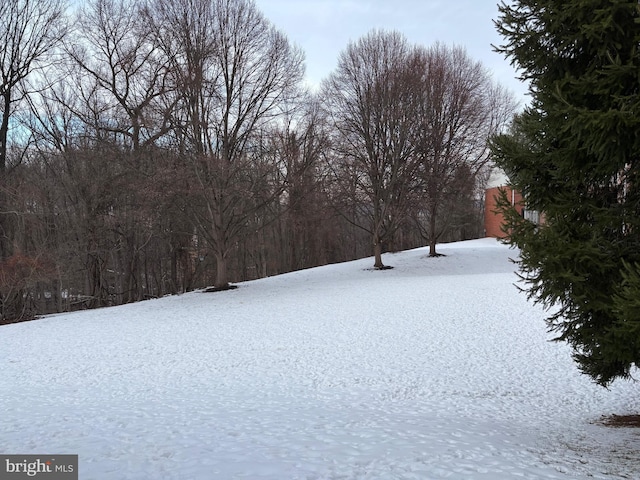 view of snowy yard