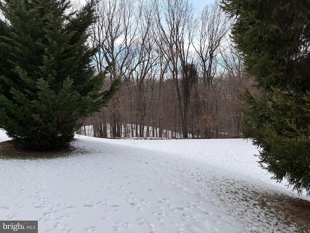 view of snowy yard