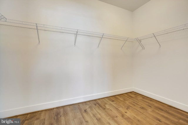 3234 Royal Fern Pl, Rockville, MD 20852 - spacious closet with light wood-style flooring