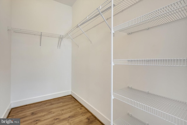 3234 Royal Fern Pl, Rockville, MD 20852 - walk in closet with wood finished floors