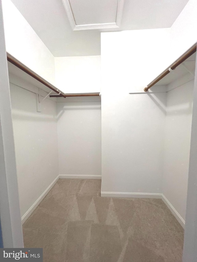 walk in closet with light carpet