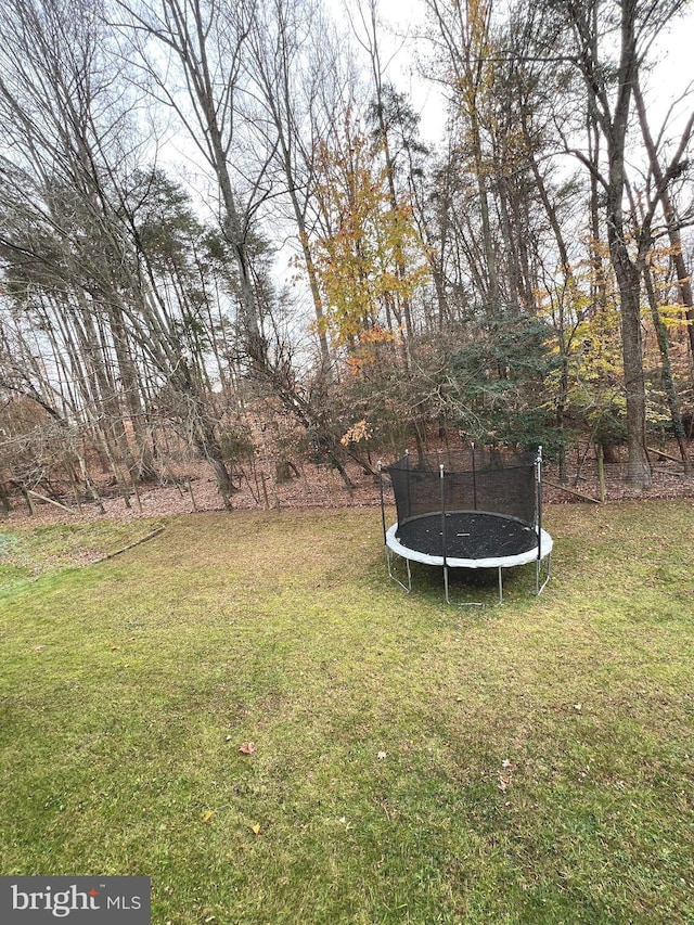 view of yard with a trampoline