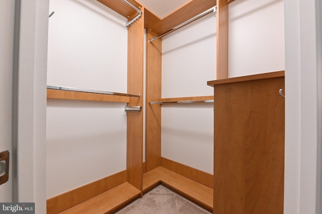 spacious closet with carpet floors