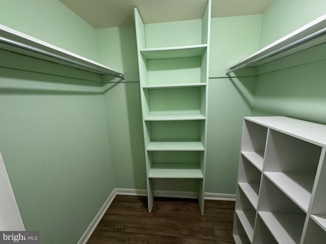 walk in closet with dark hardwood / wood-style flooring