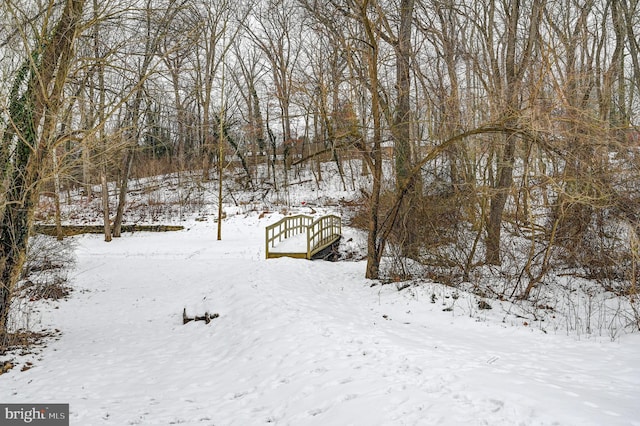 view of snow covered land