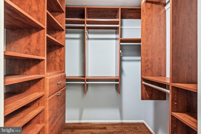 walk in closet with dark wood-type flooring