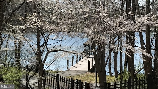 view of water feature with a boat dock