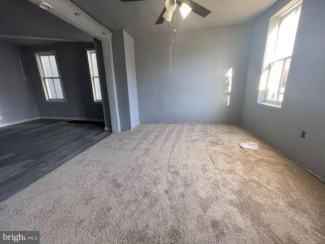 unfurnished room with ceiling fan and carpet flooring