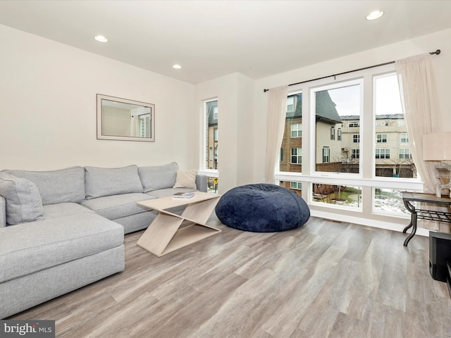 living room featuring light hardwood / wood-style floors